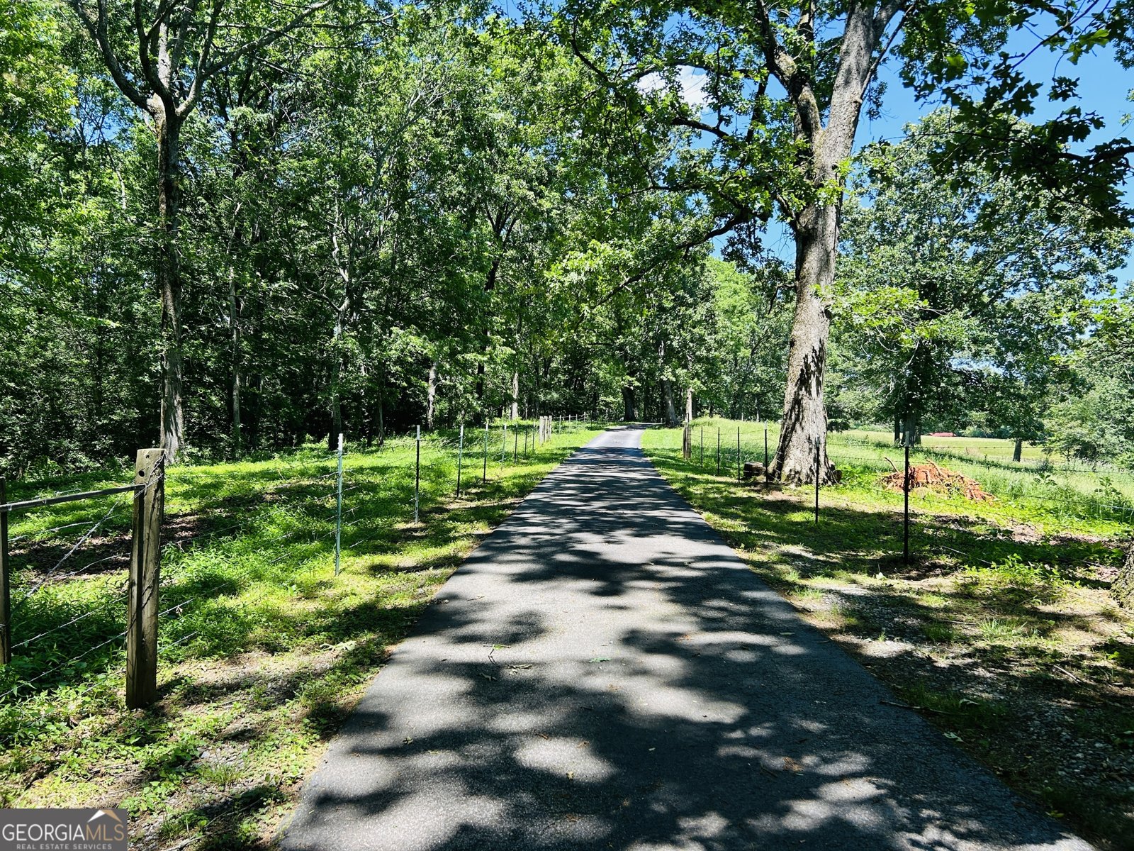 303 Chitwood Road Clarkesville - 4