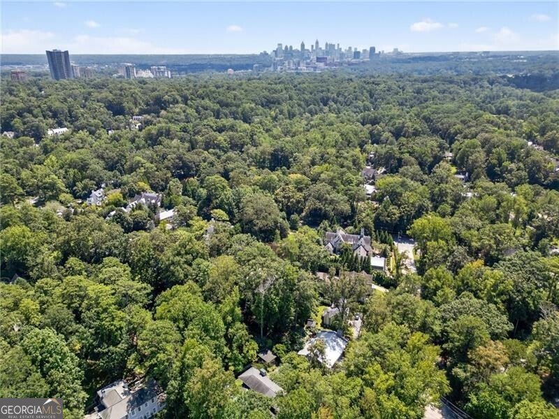 3033 Pine Valley Road Atlanta - 83