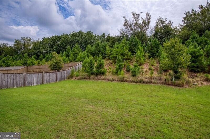 3242 Long Creek Drive Buford - 36