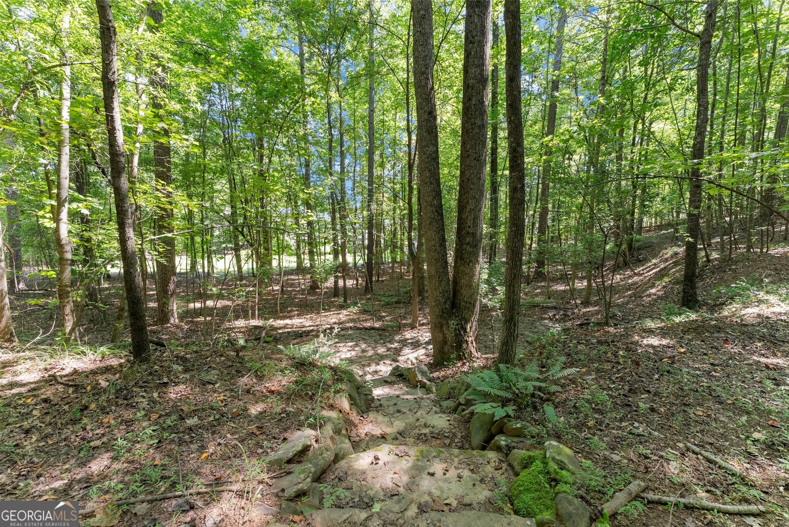 715 Antrim Glen Road Hoschton - 9