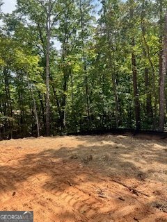 256 Eastwood Path Rockmart - 2