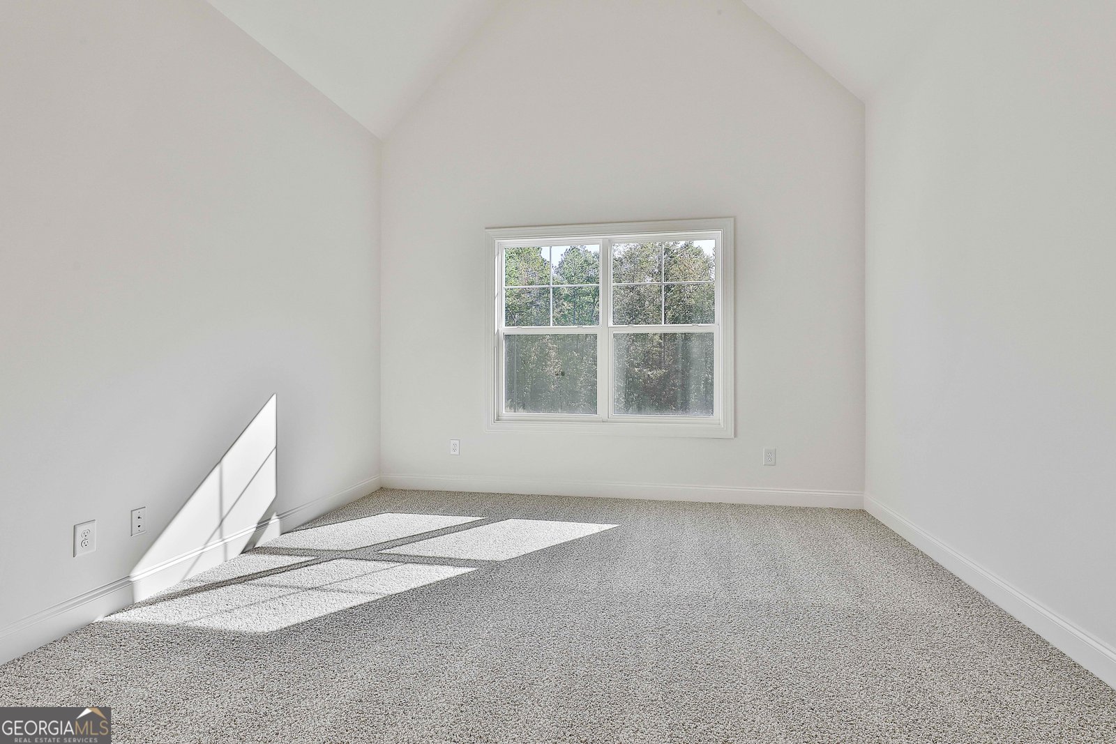 0 Wisteria Lane Williamson - 36