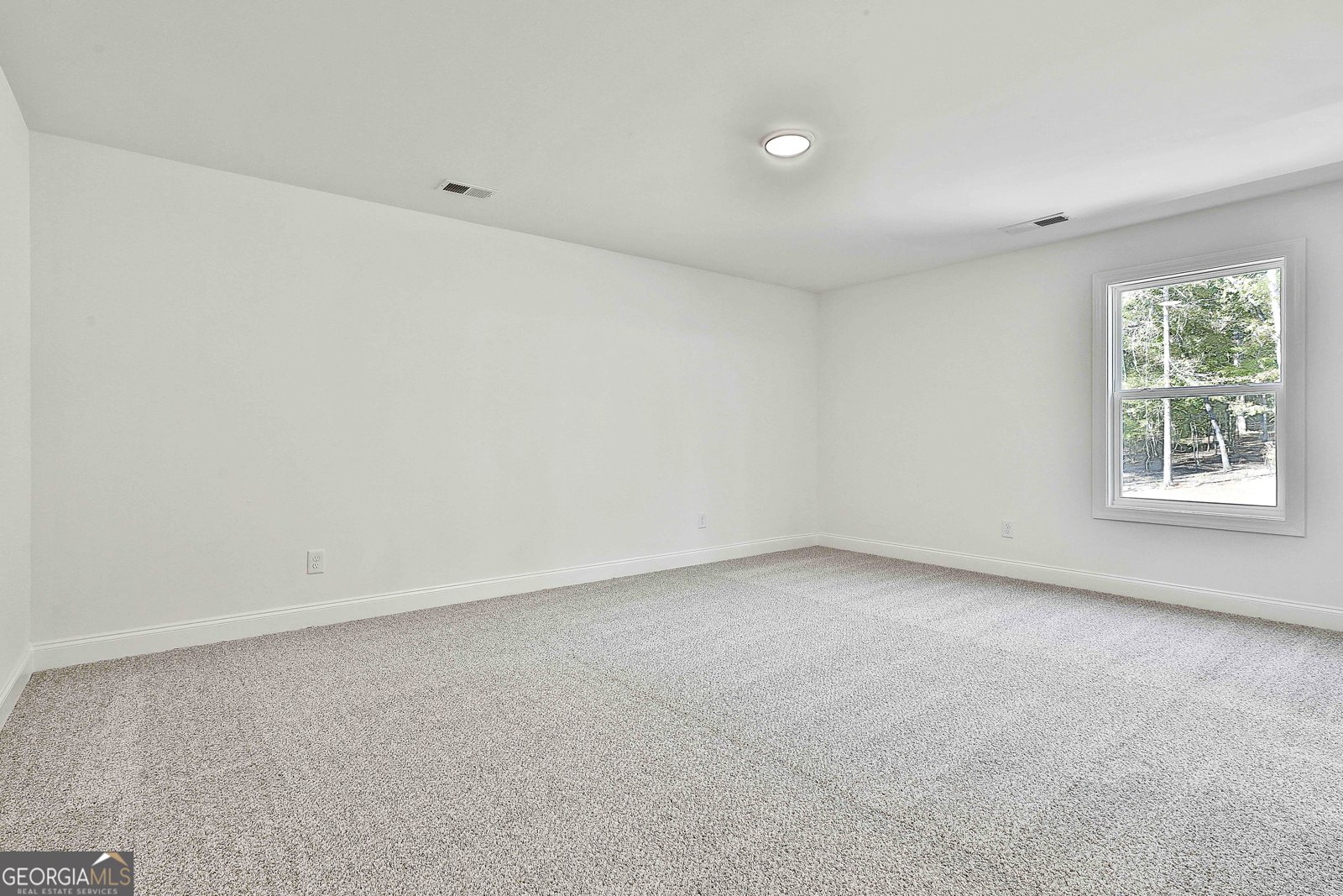 0 Wisteria Lane Williamson - 40