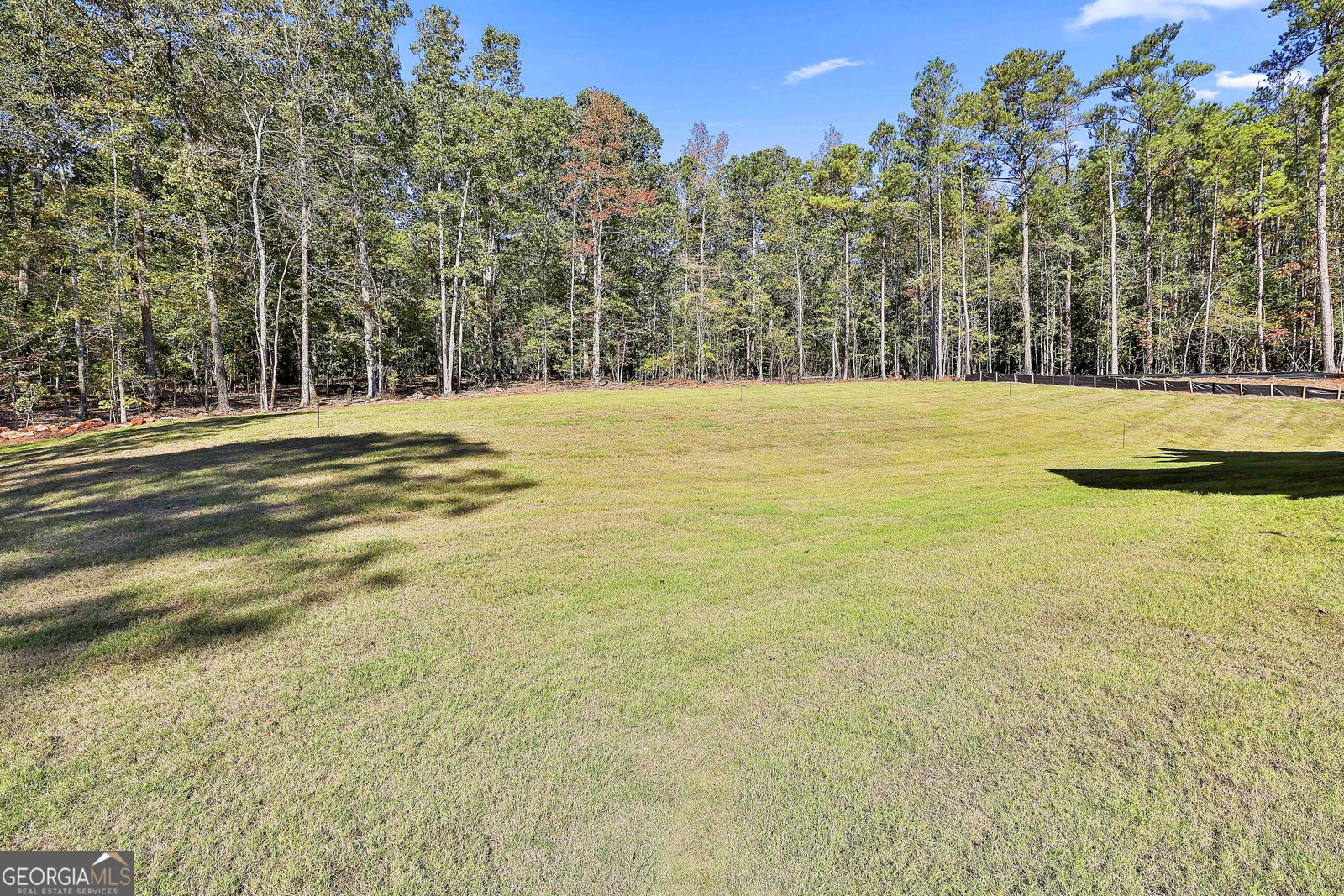 0 Wisteria Lane Williamson - 48