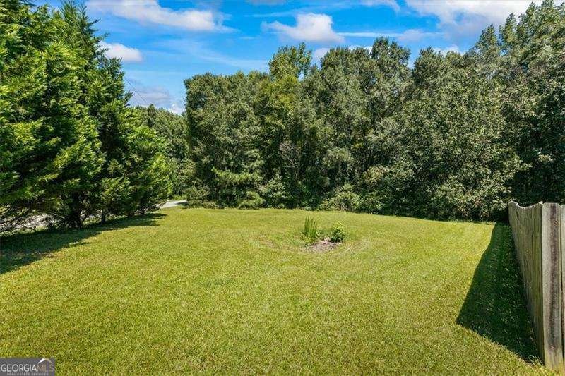4591 Meadows Road Powder Springs - 36