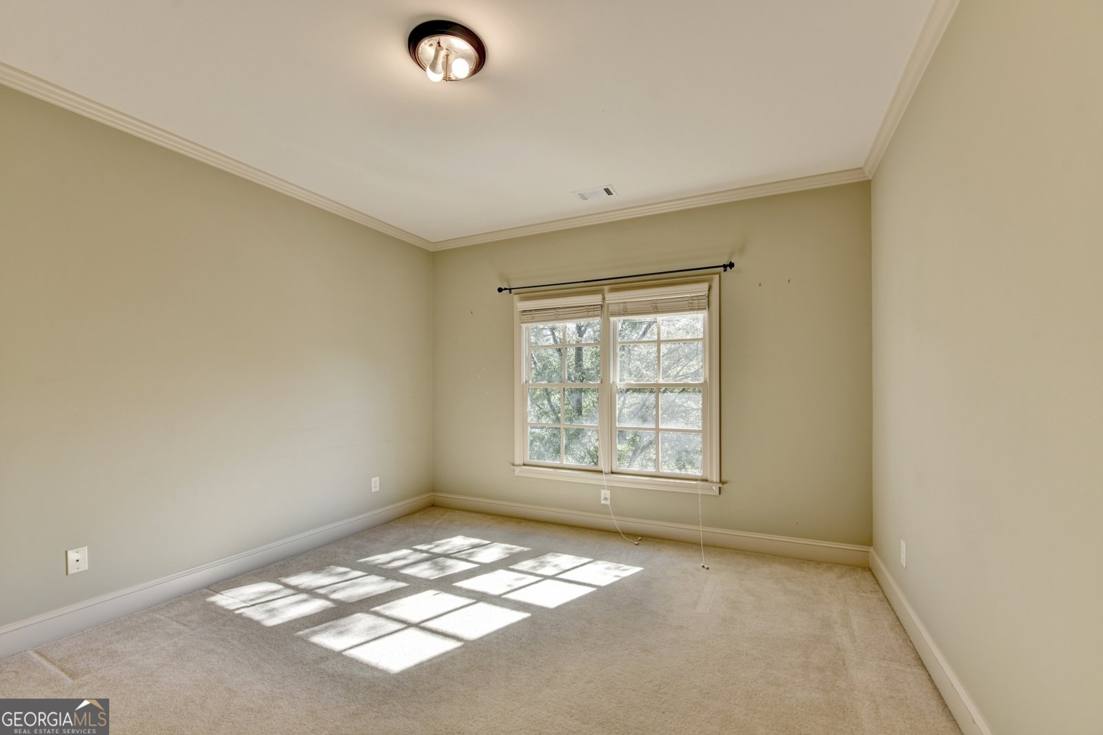 1630 Oconee Springs Drive Statham - 36