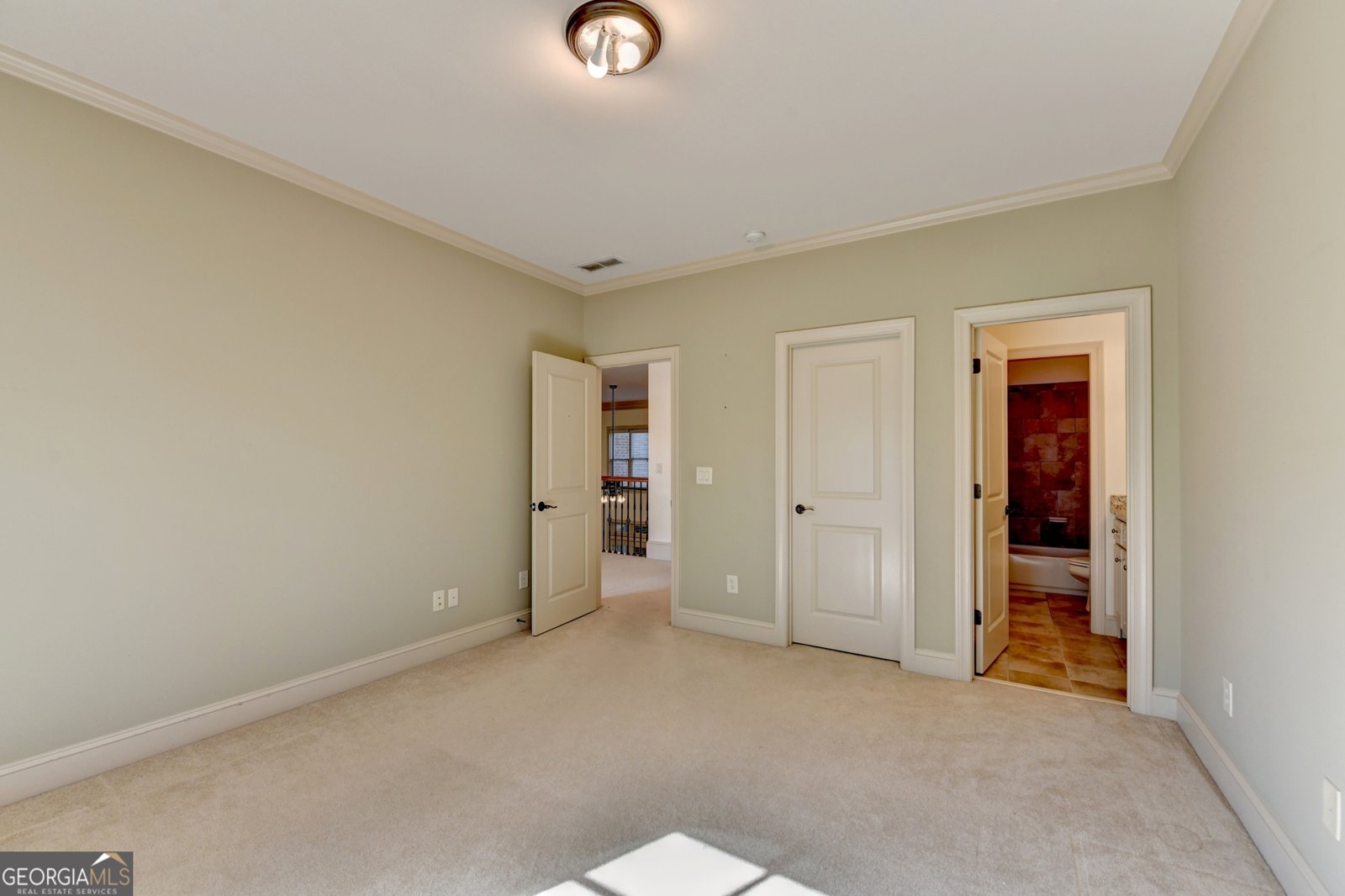 1630 Oconee Springs Drive Statham - 37