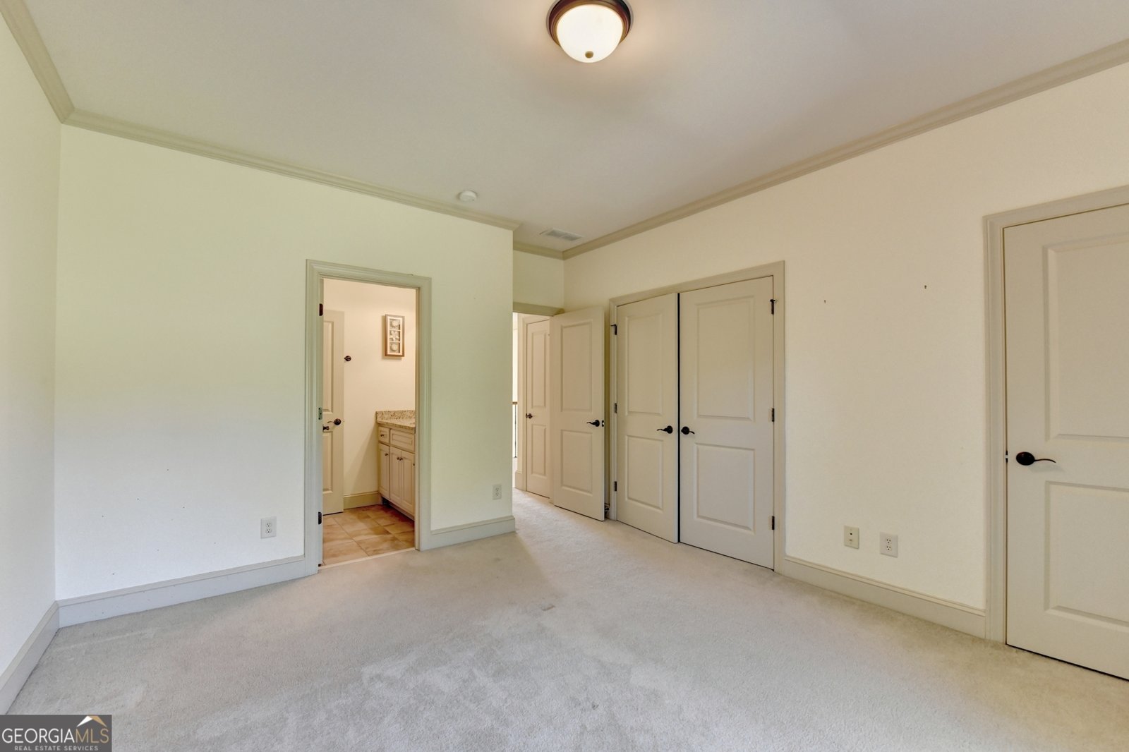 1630 Oconee Springs Drive Statham - 40
