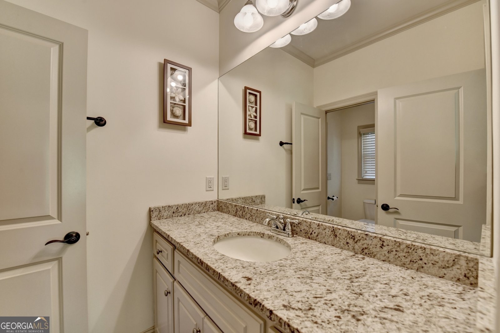 1630 Oconee Springs Drive Statham - 41