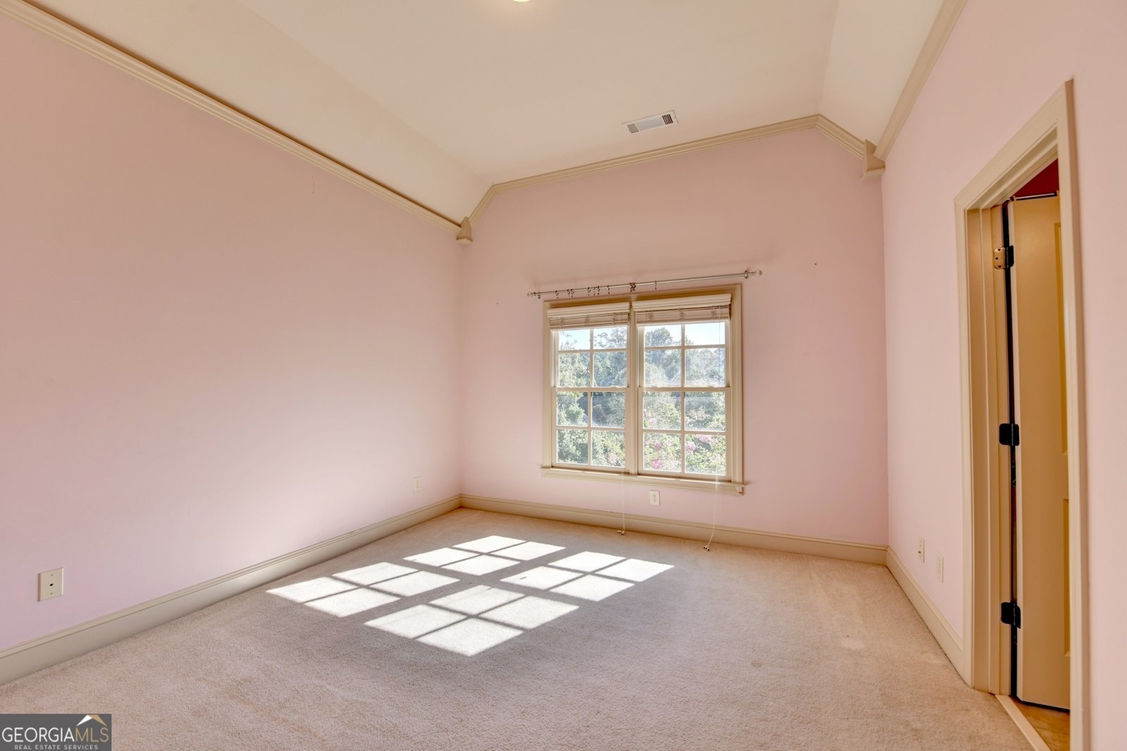 1630 Oconee Springs Drive Statham - 42