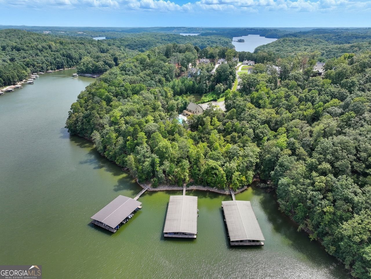 7530 Crestline Drive Dawsonville - 40