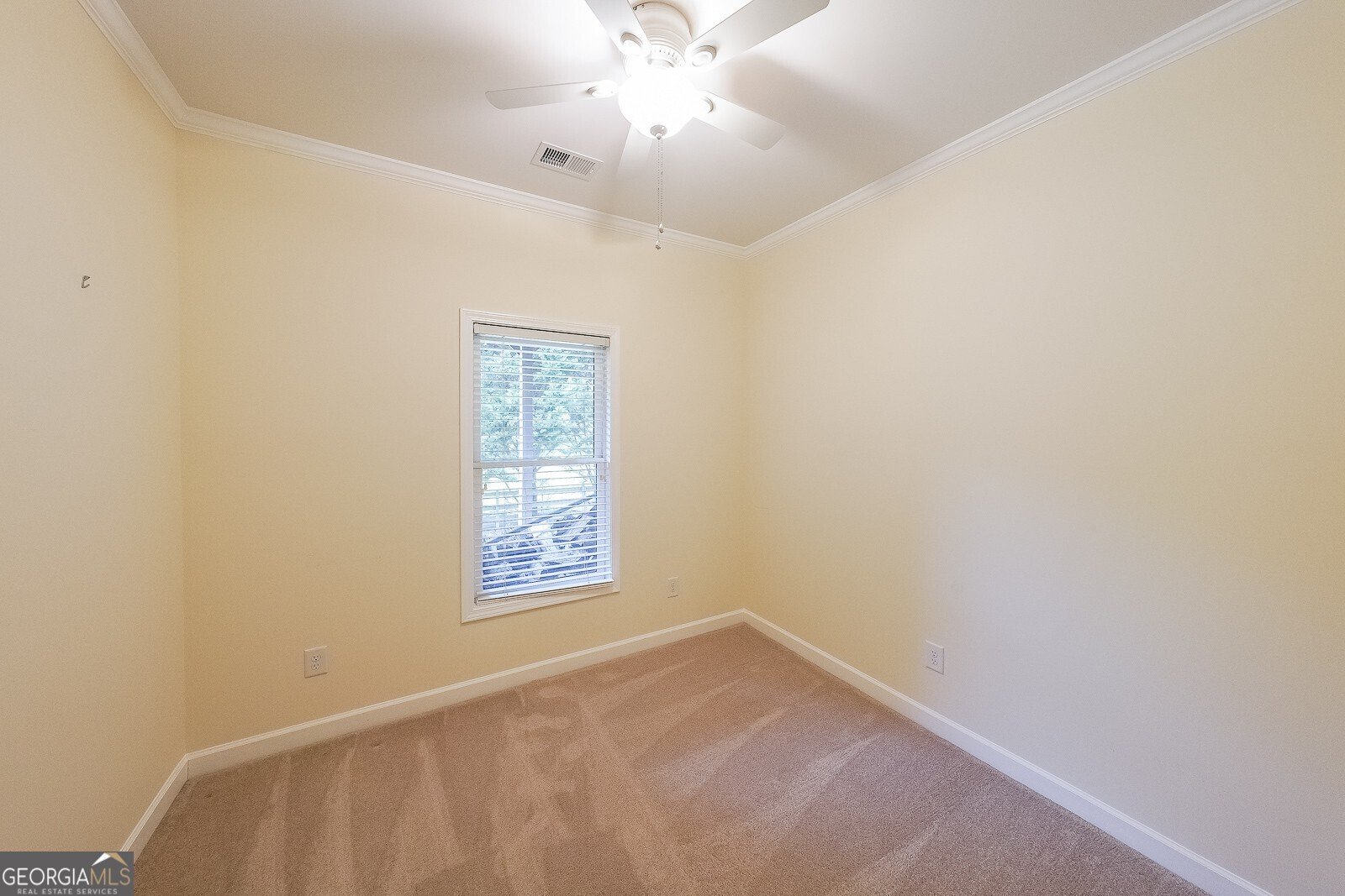 198 Mountain Vista Boulevard Canton - 28