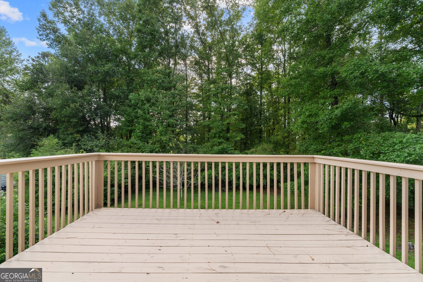 35 Pawn Drive Carrollton - 24