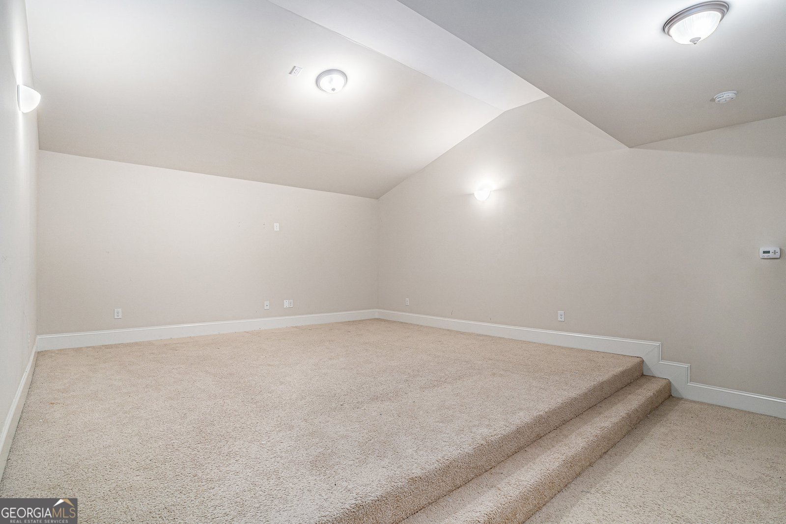 1340 Mandarin Lane Stockbridge - 43