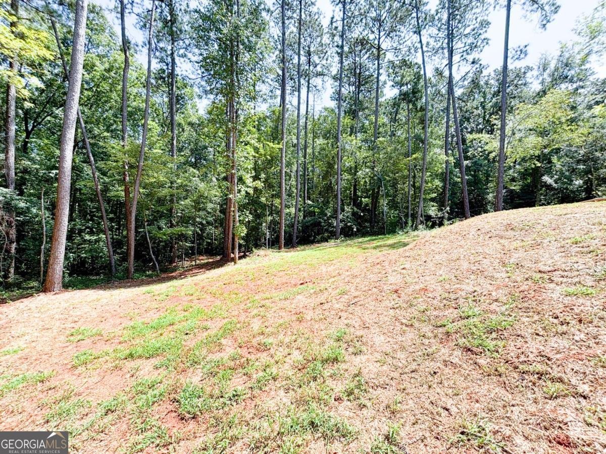 235 Waxwing Drive Monticello - 29