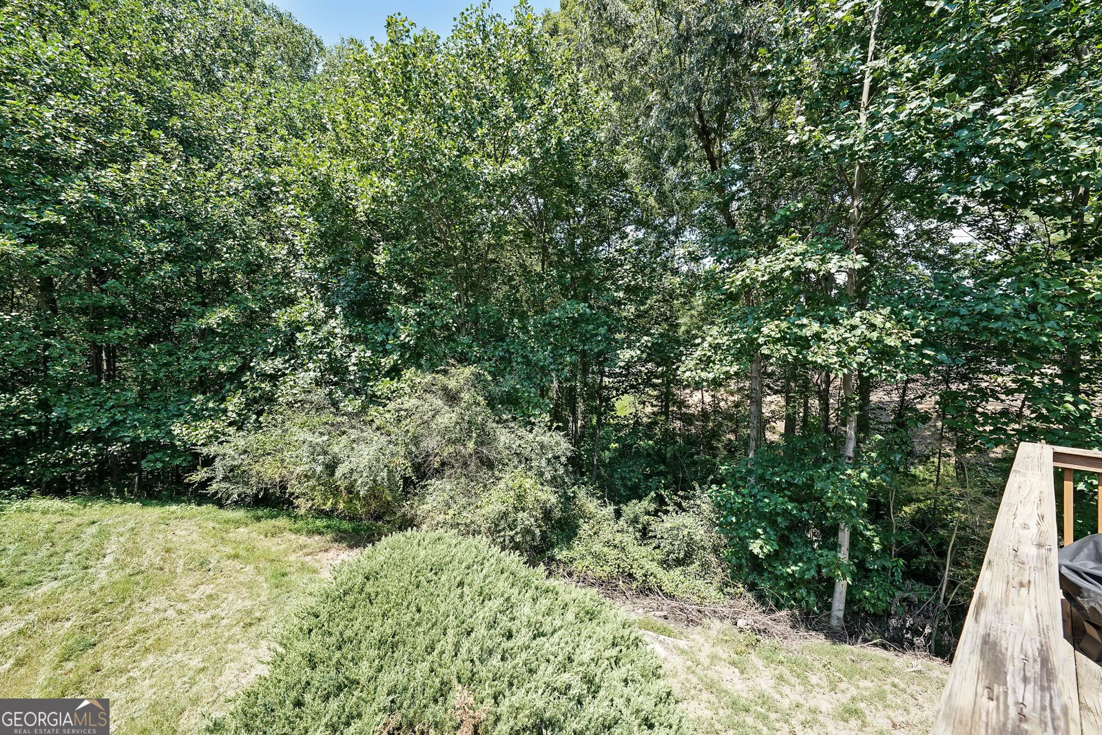 192 Nashport Lane Dawsonville - 20