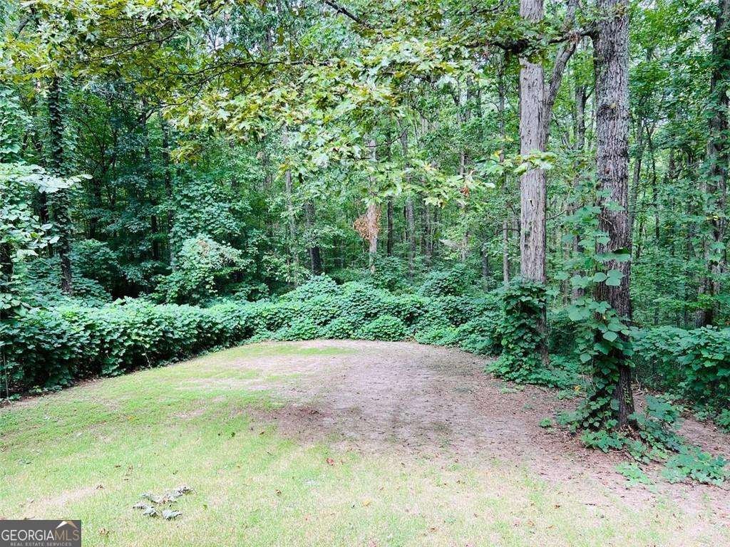 3078 Standing Rock Court Lithia Springs - 21