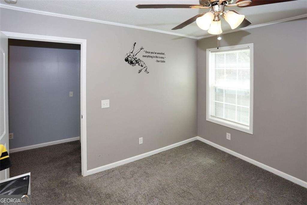 207 VAN WERT Street Buchanan - 19
