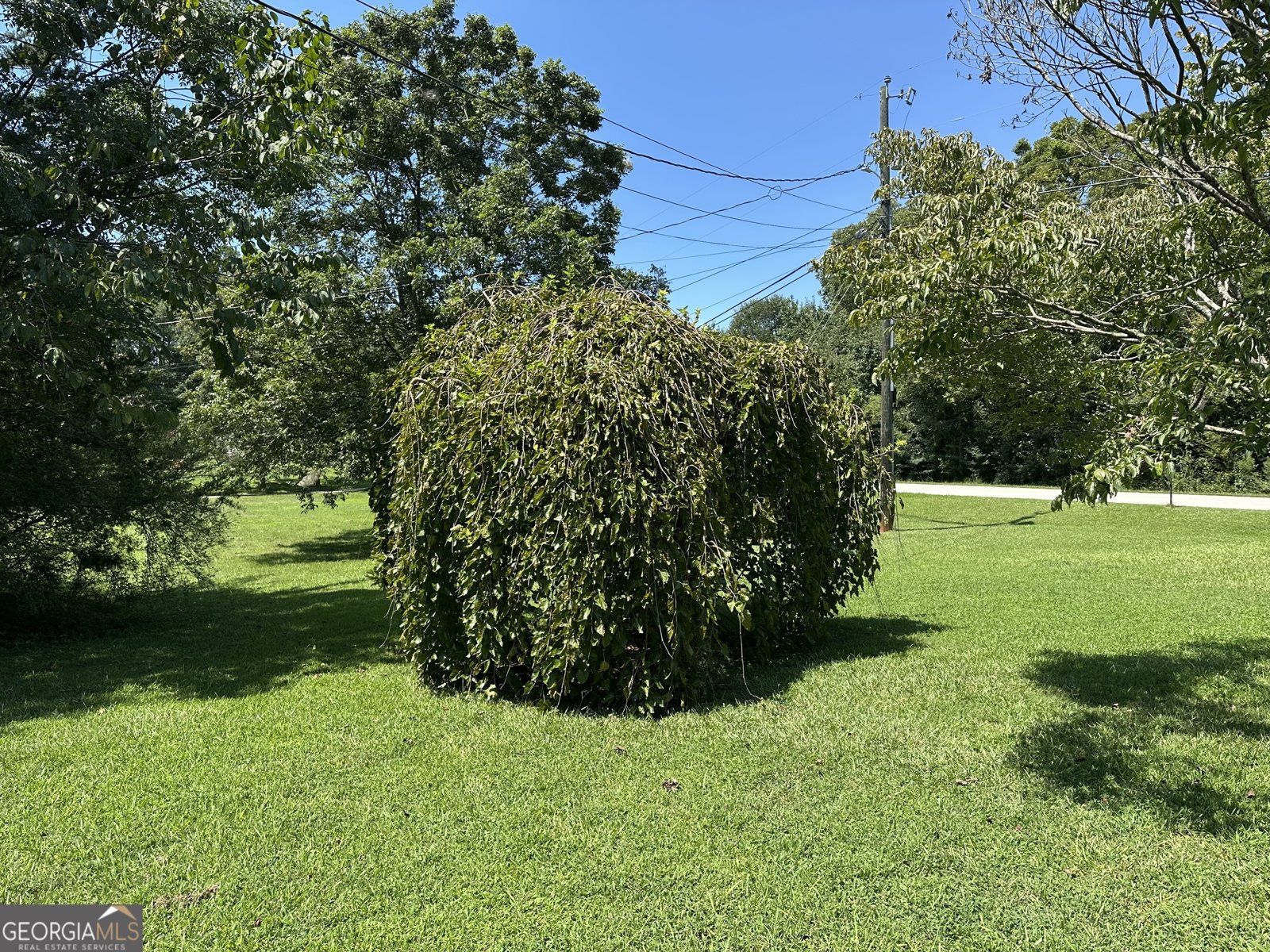 158 Merrybrook Road Williamson - 38