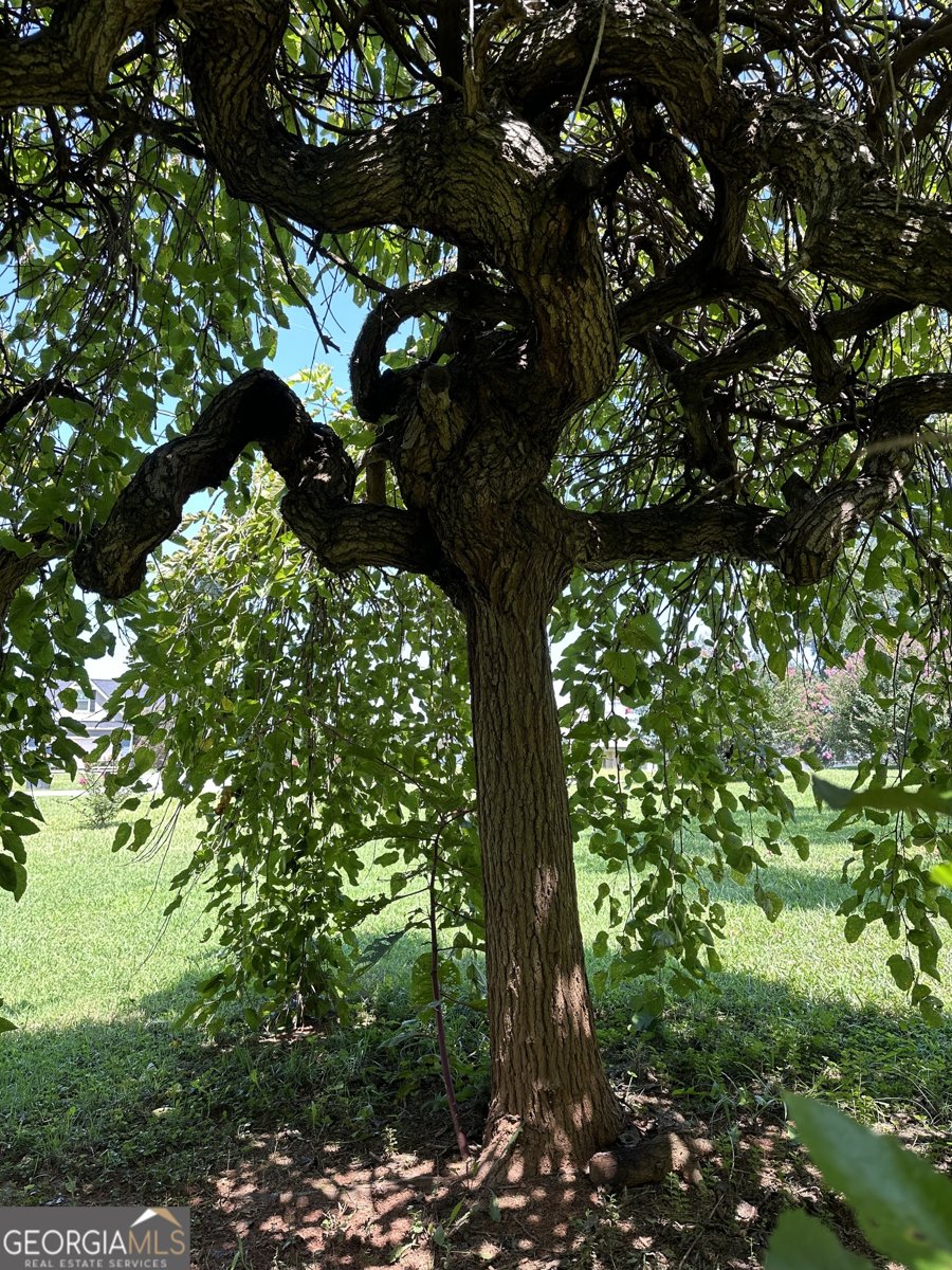 158 Merrybrook Road Williamson - 39