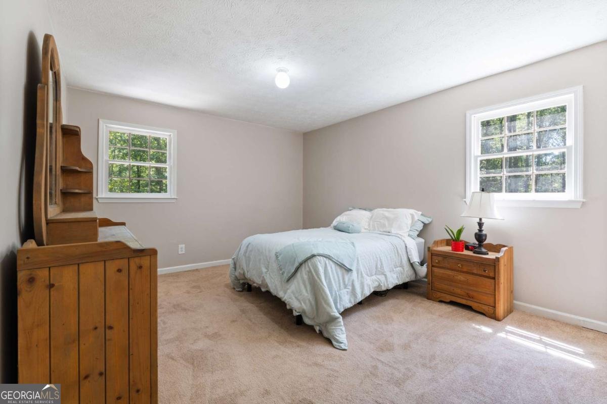 254 Pine Trail Canton - 12