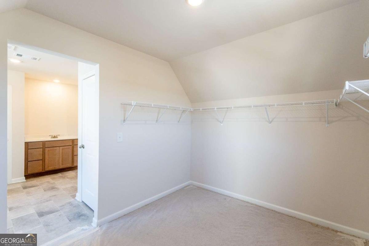 316 Bloomfield Circle Canton - 15