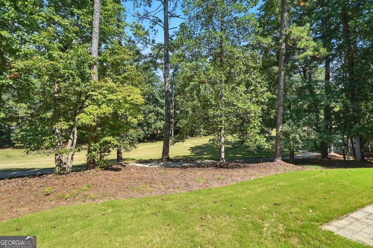 14710 CREEK CLUB Drive Alpharetta - 46