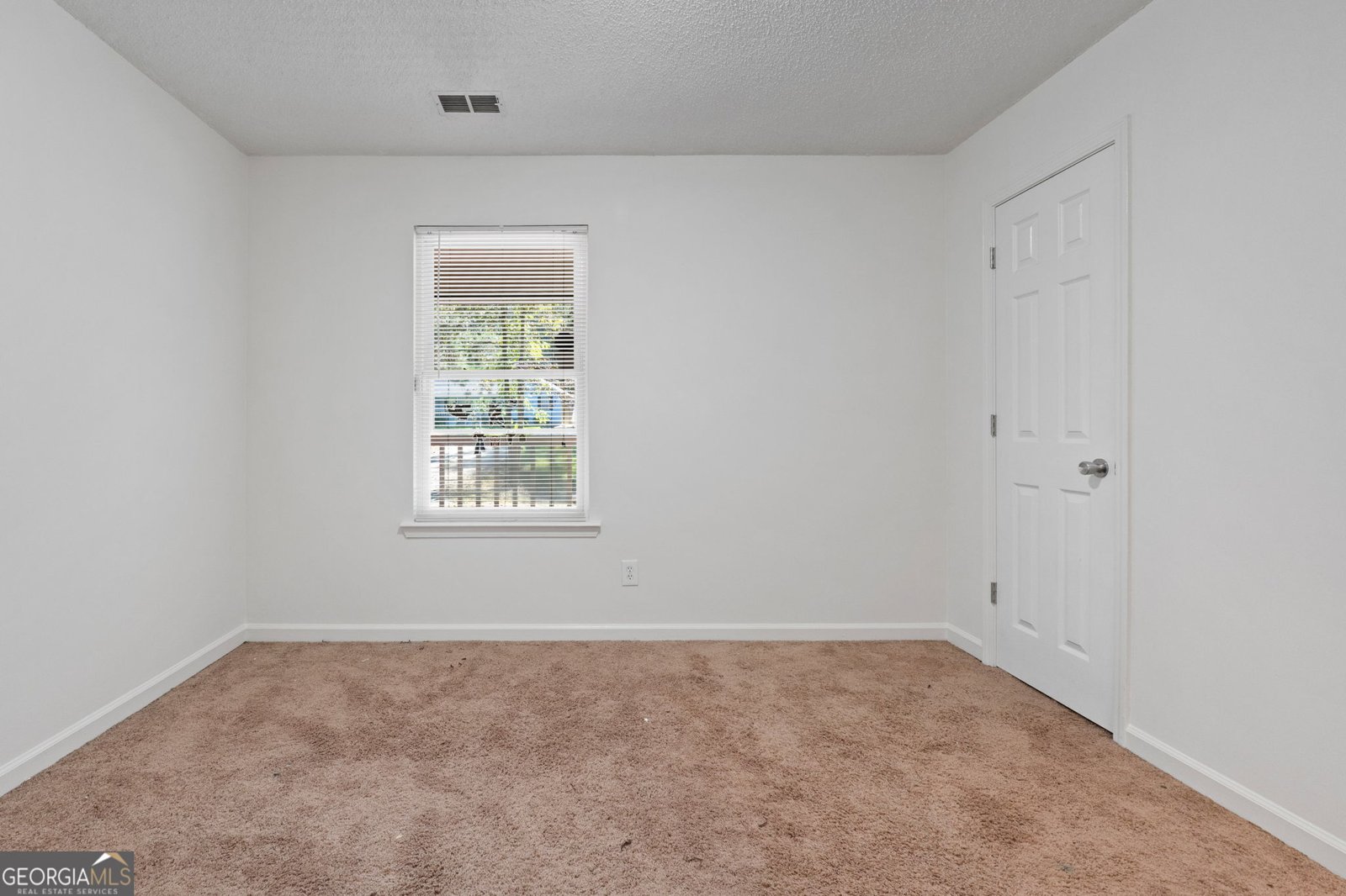 125 Pinewood Drive Senoia - 1