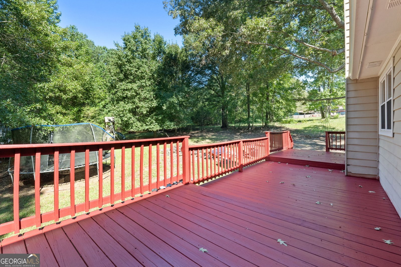 125 Pinewood Drive Senoia - 2