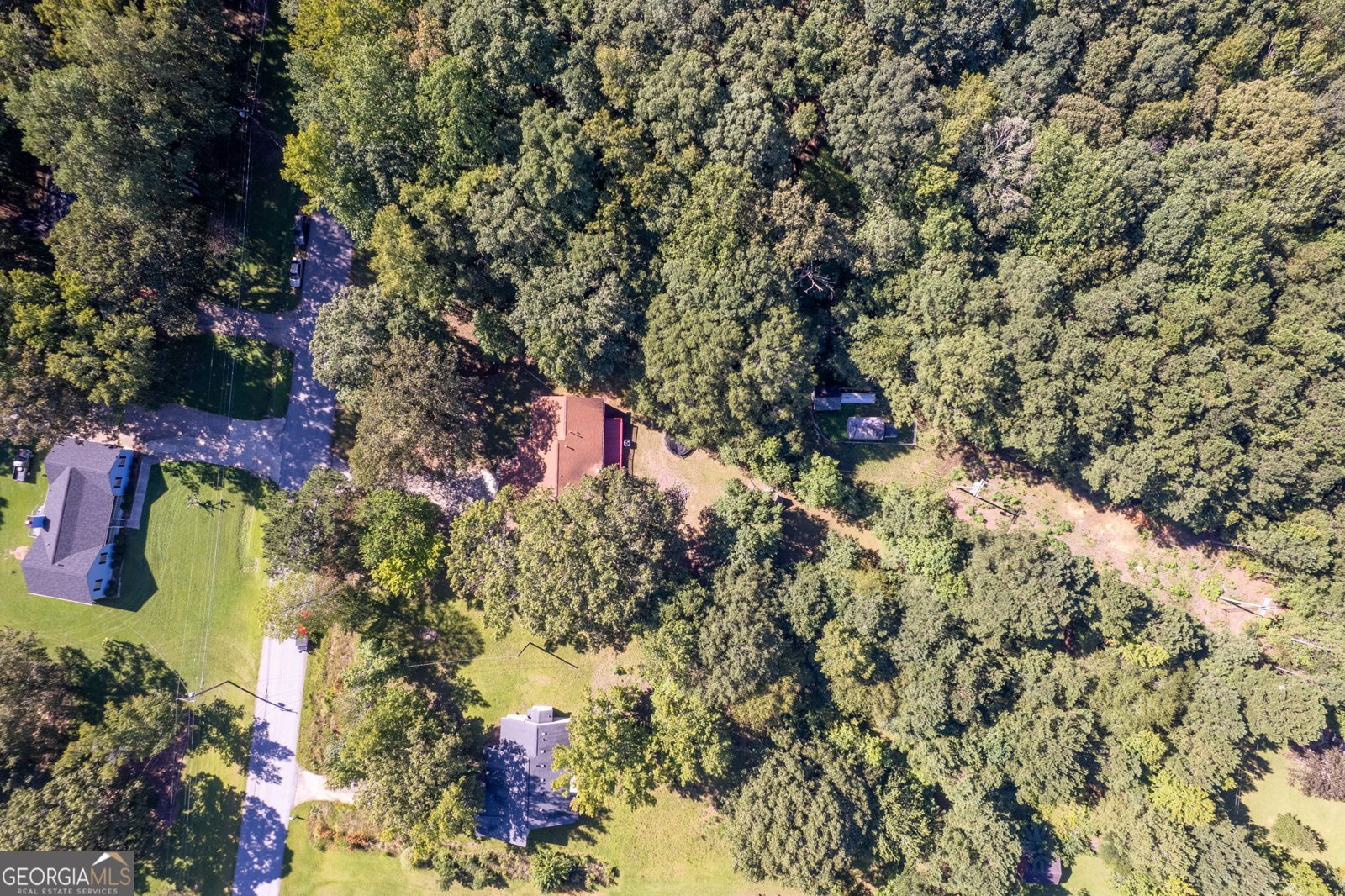 125 Pinewood Drive Senoia - 7