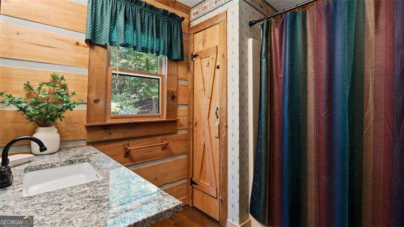 219 RIDGE TOP Lane Blue Ridge - 17
