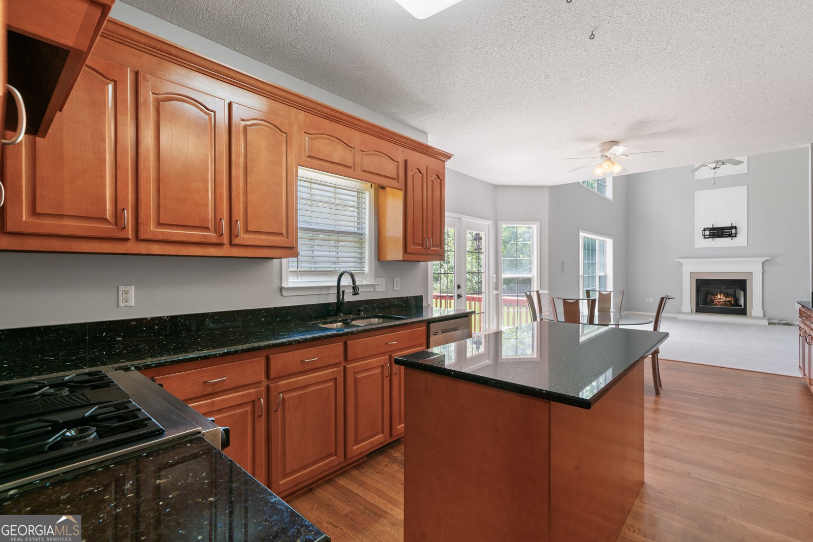 512 Spring Run Lizella - 1