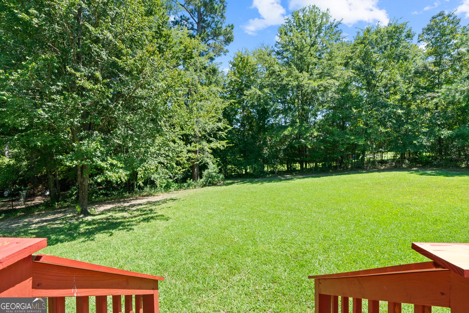512 Spring Run Lizella - 25