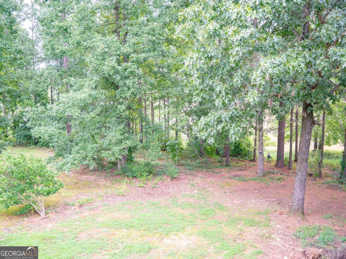 1860 Pinehurst View Drive Grayson - 11