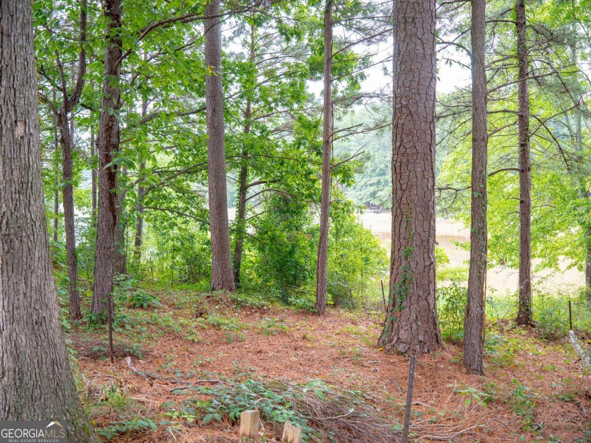 1860 Pinehurst View Drive Grayson - 12