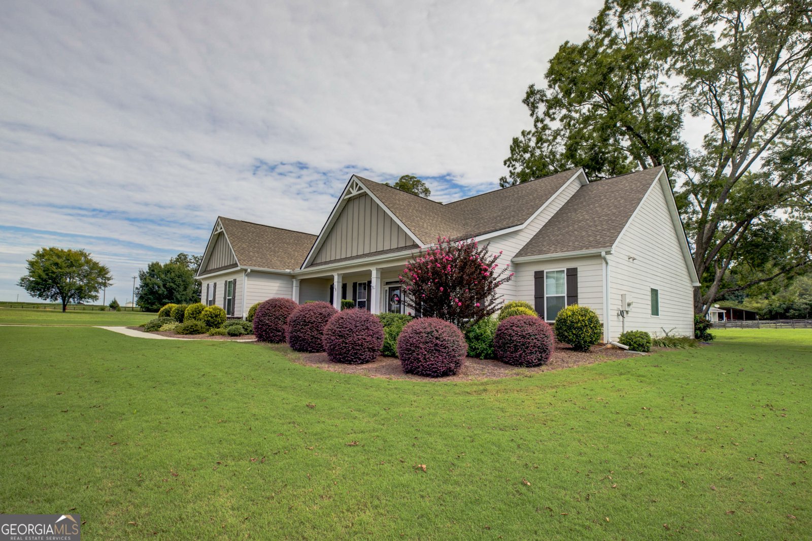 38 Chapman Farm Road Senoia - 4