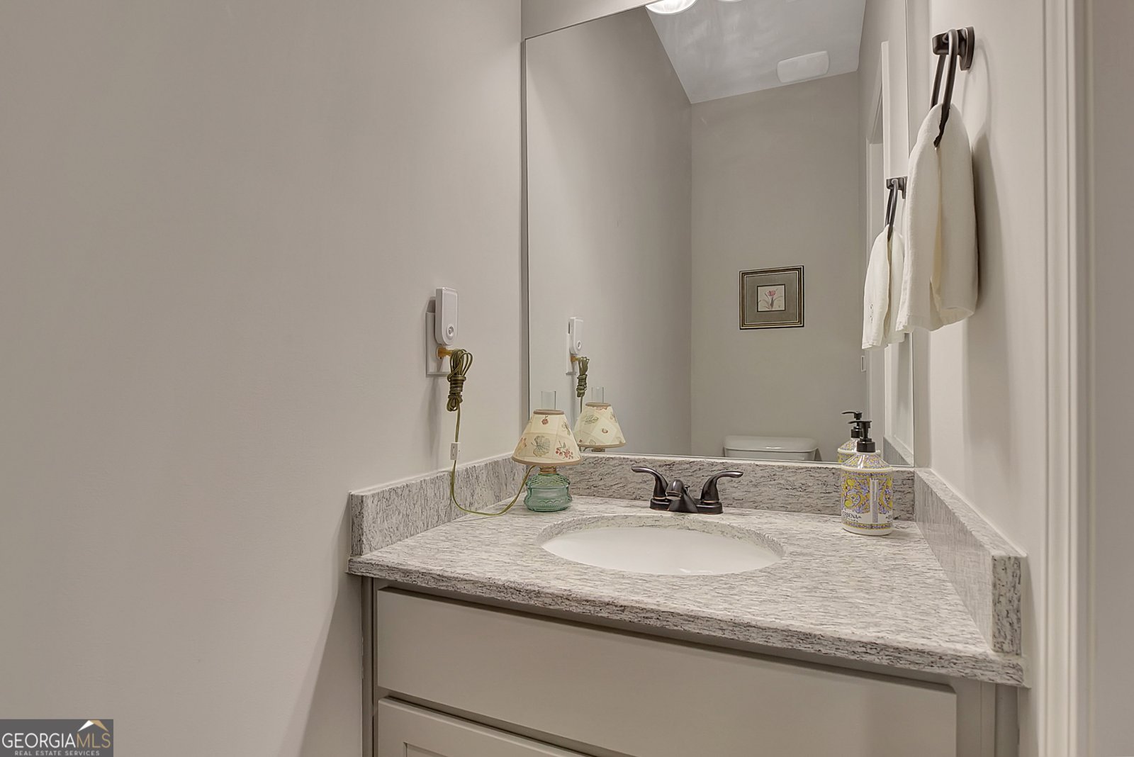 38 Chapman Farm Road Senoia - 49