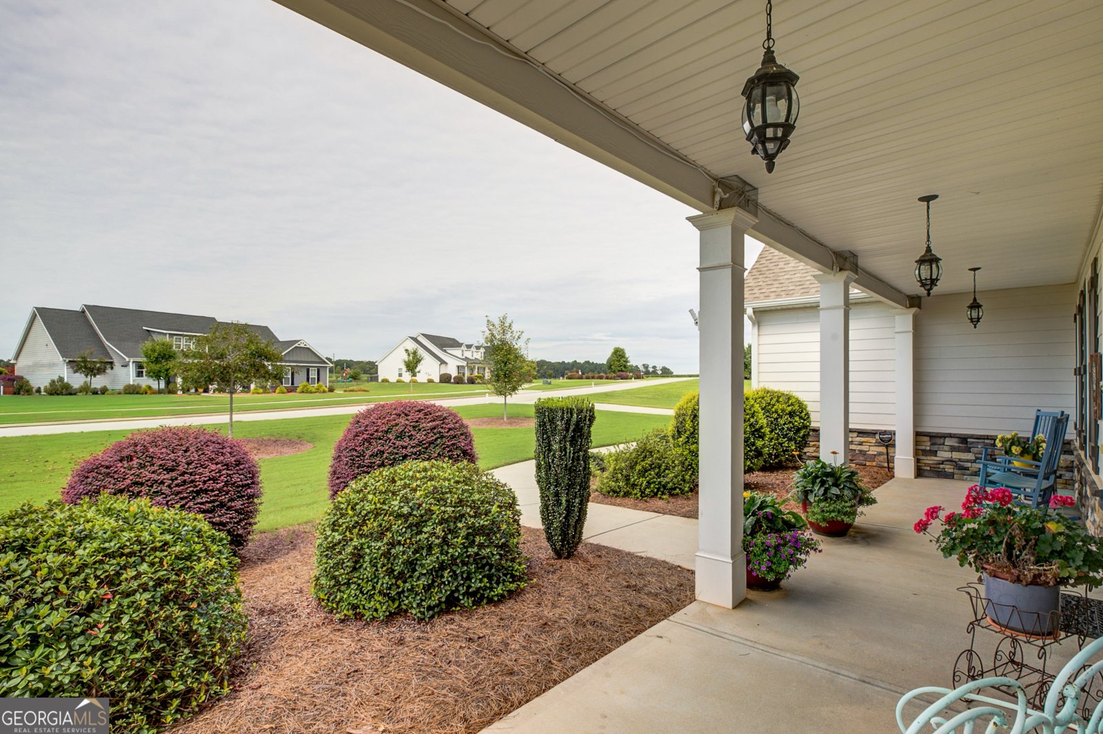 38 Chapman Farm Road Senoia - 6