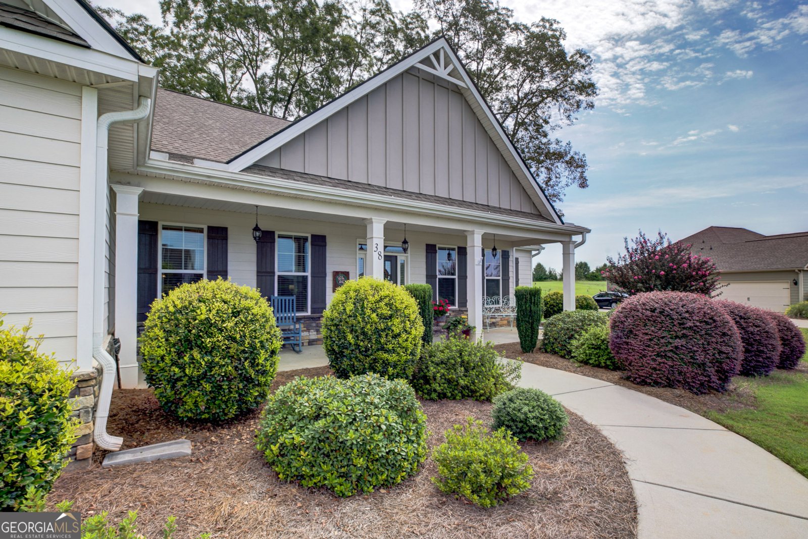 38 Chapman Farm Road Senoia - 8