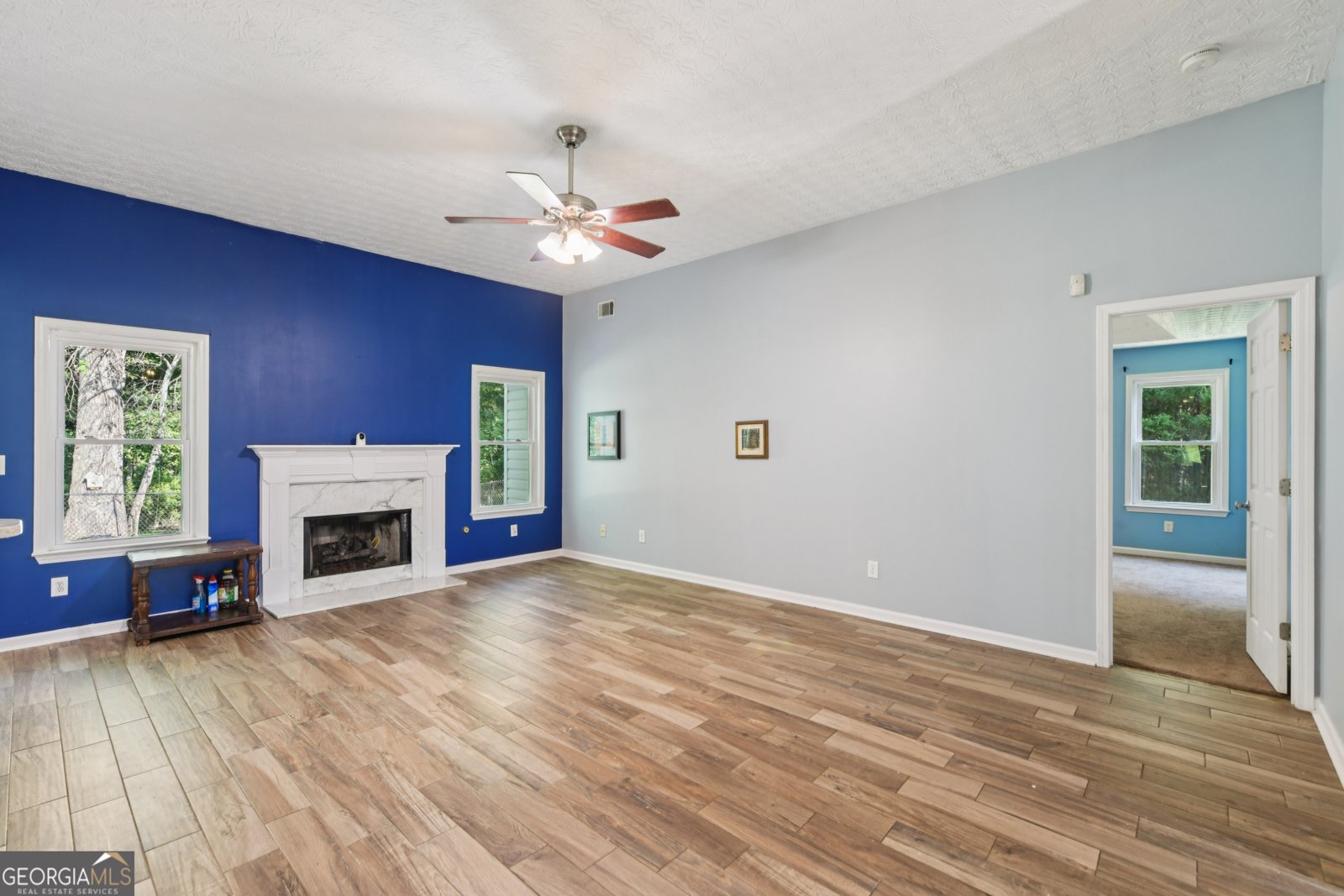 341 Tussahaw Trail Locust Grove - 12