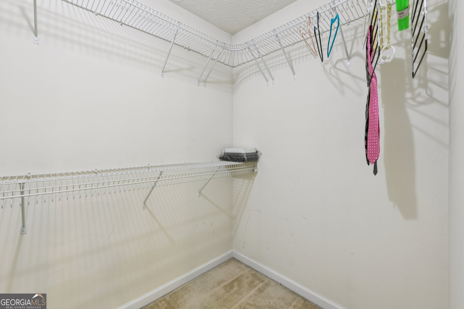 341 Tussahaw Trail Locust Grove - 30