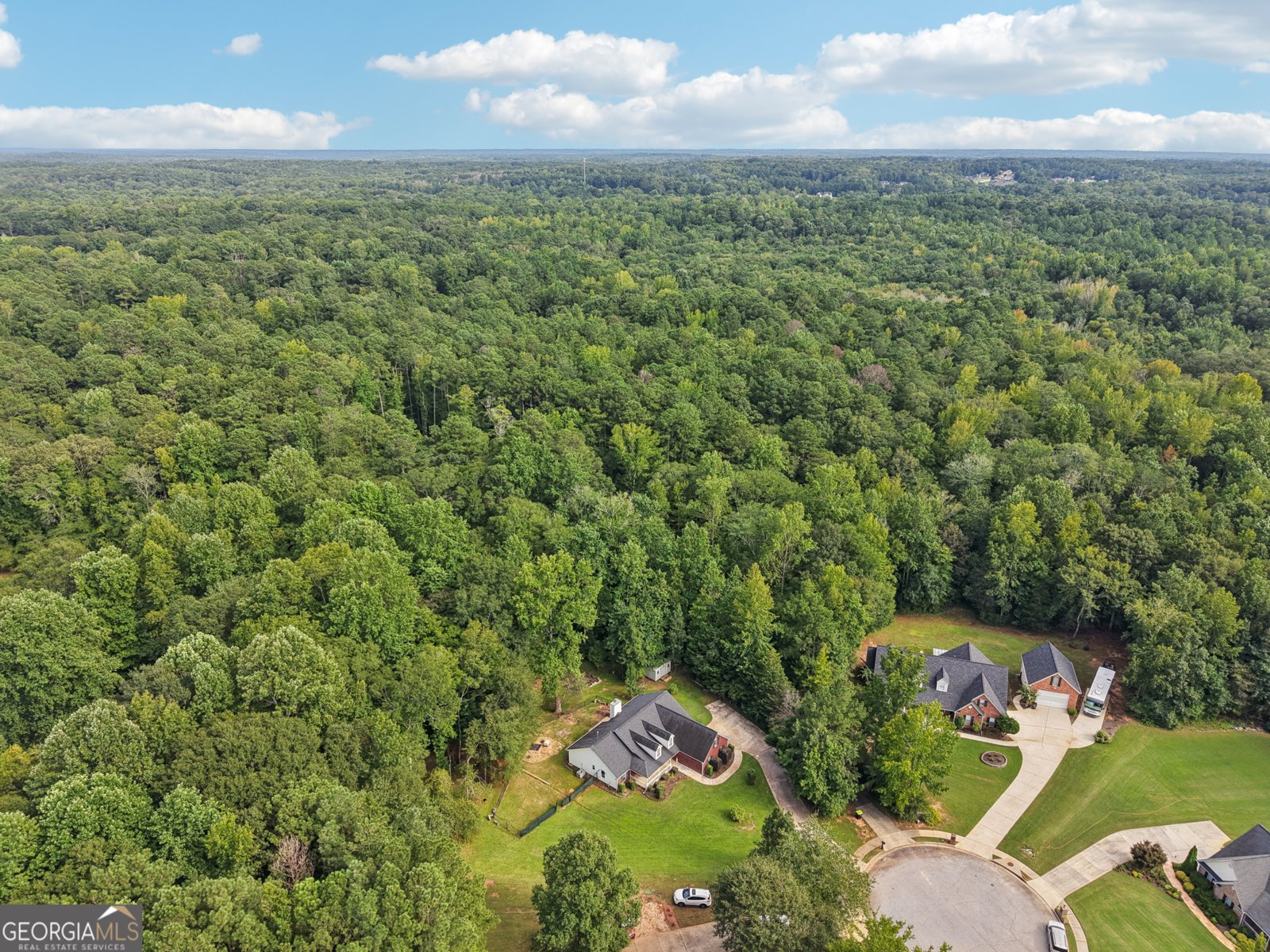 341 Tussahaw Trail Locust Grove - 53