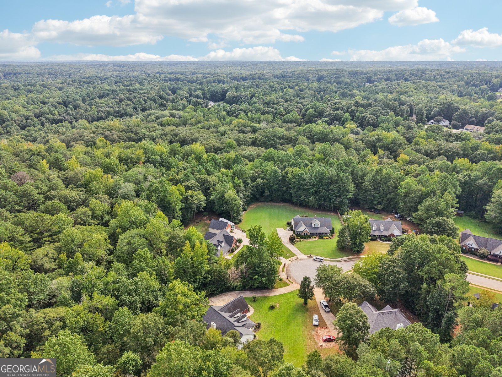 341 Tussahaw Trail Locust Grove - 54