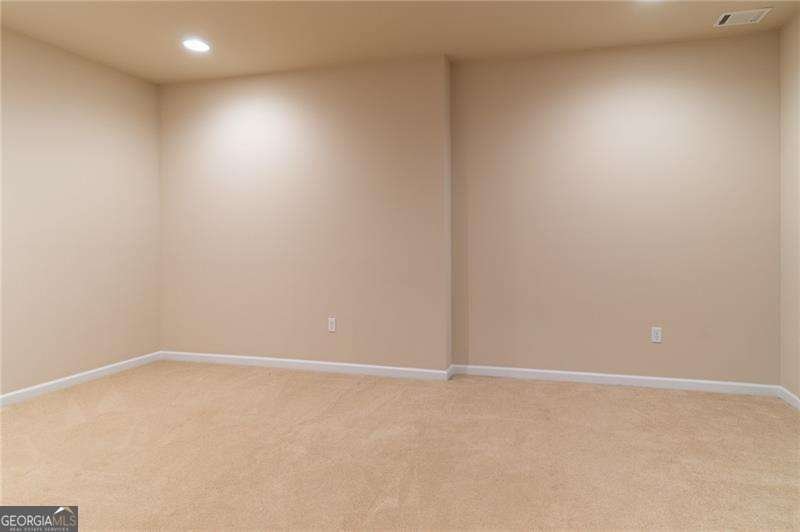 206 Sawtooth Court Canton - 27