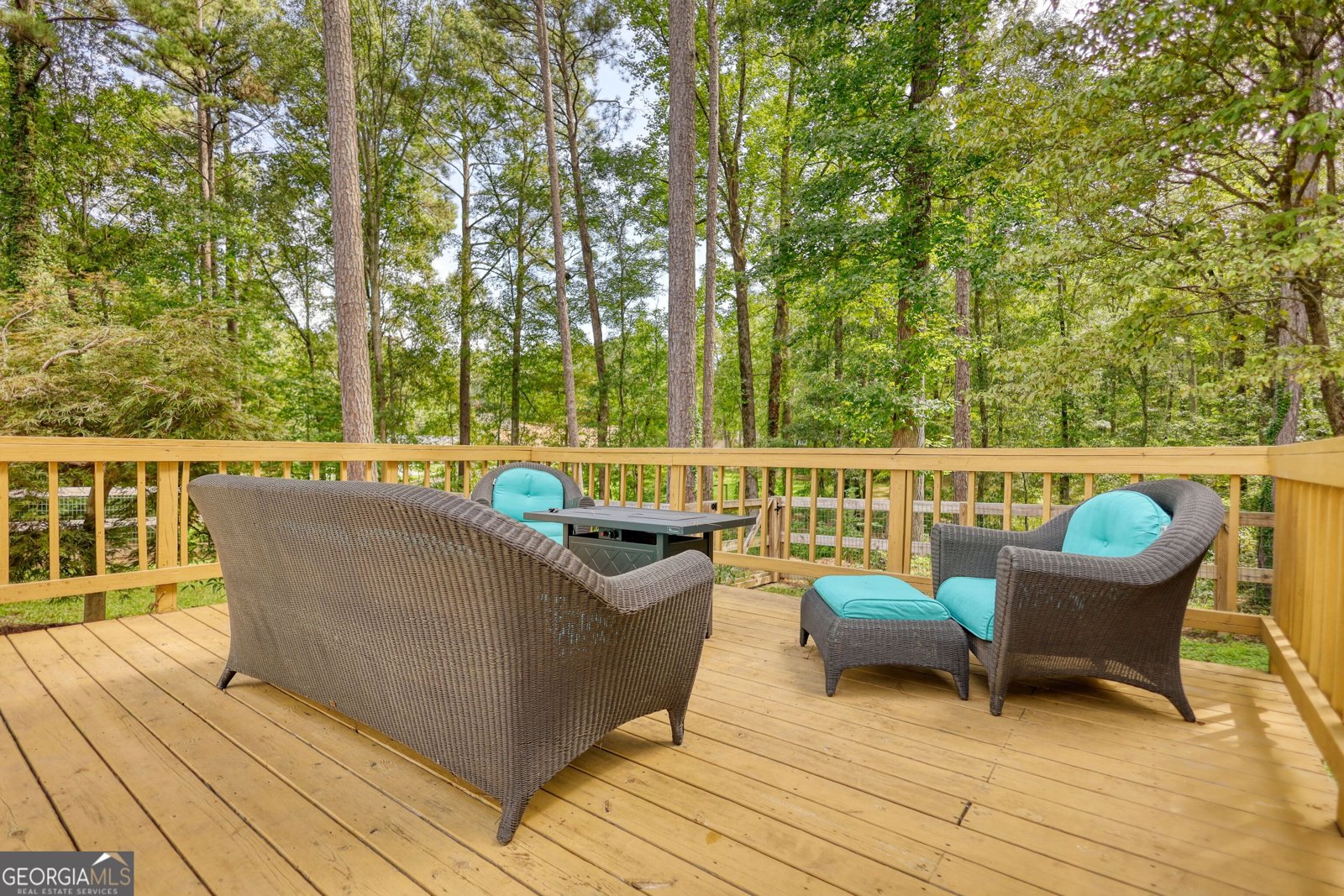 390 Christian Woods Drive Conyers - 27