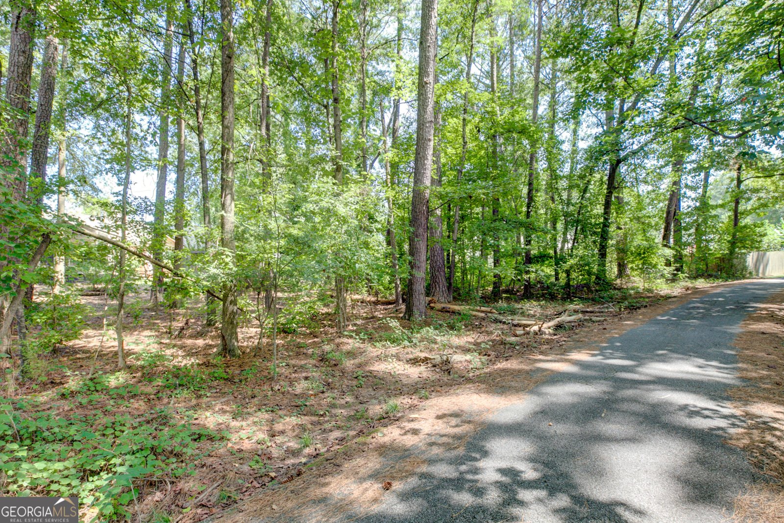 711 Redwood Park Peachtree City - 41