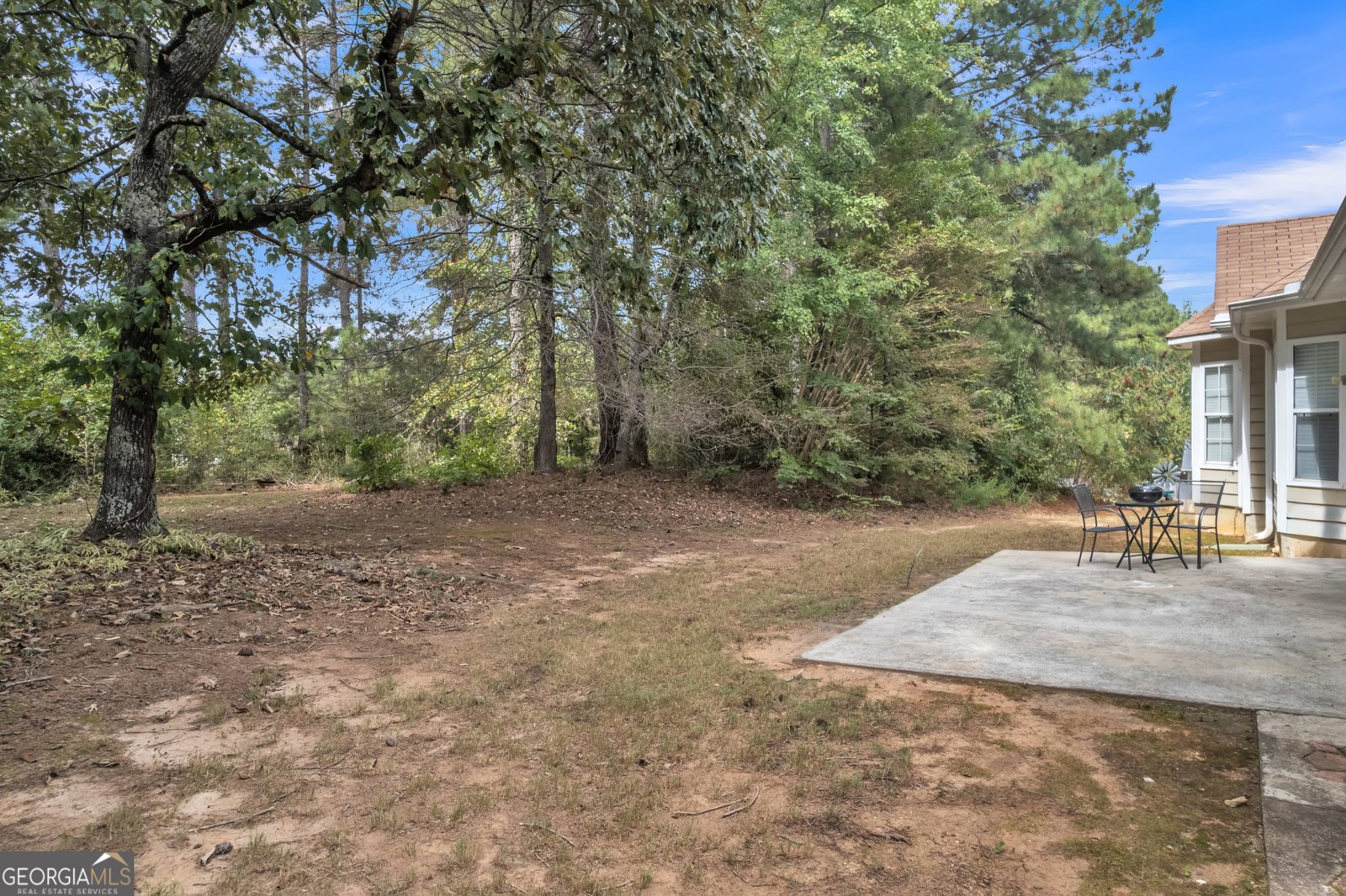 274 Sawgrass Way Fayetteville - 43