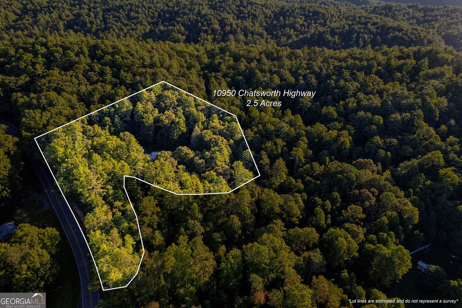 10950 Chatsworth Highway Ellijay - 38