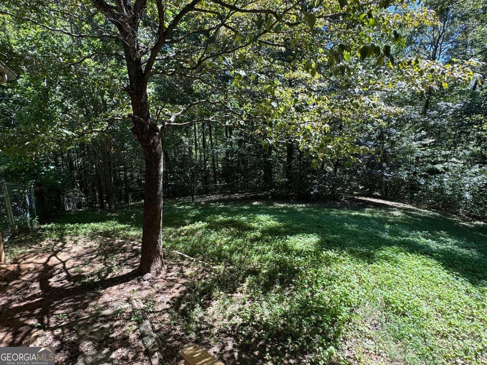 10950 Chatsworth Highway Ellijay - 40