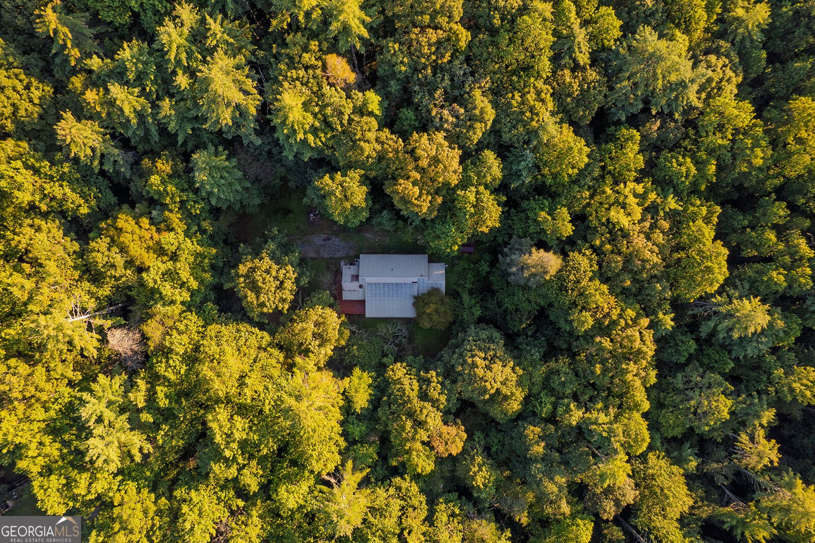 10950 Chatsworth Highway Ellijay - 54